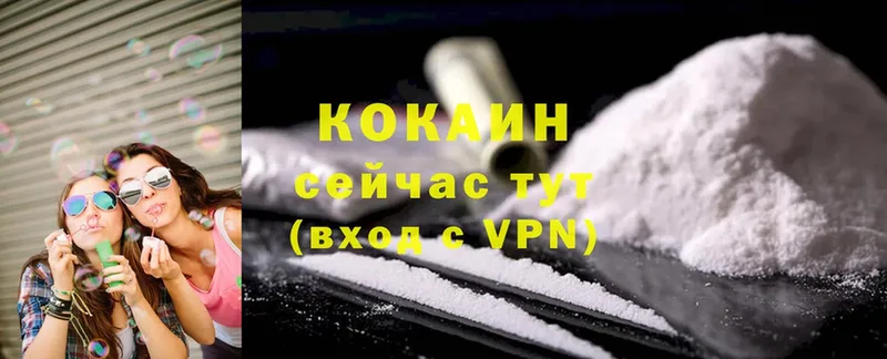 shop как зайти  Полярные Зори  Cocaine Fish Scale 