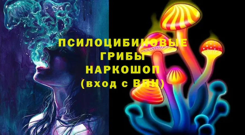 Галлюциногенные грибы Psilocybe  хочу наркоту  MEGA как войти  Полярные Зори 